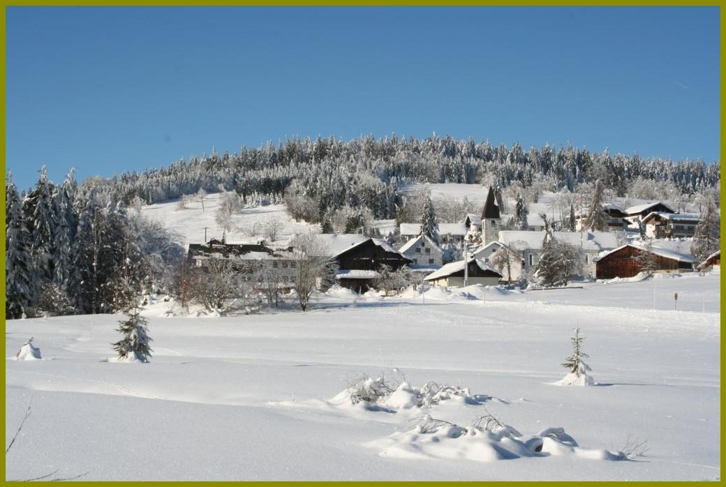 Pension Philippsreut "Zum Pfenniggeiger" Am Goldsteigwanderweg מראה חיצוני תמונה